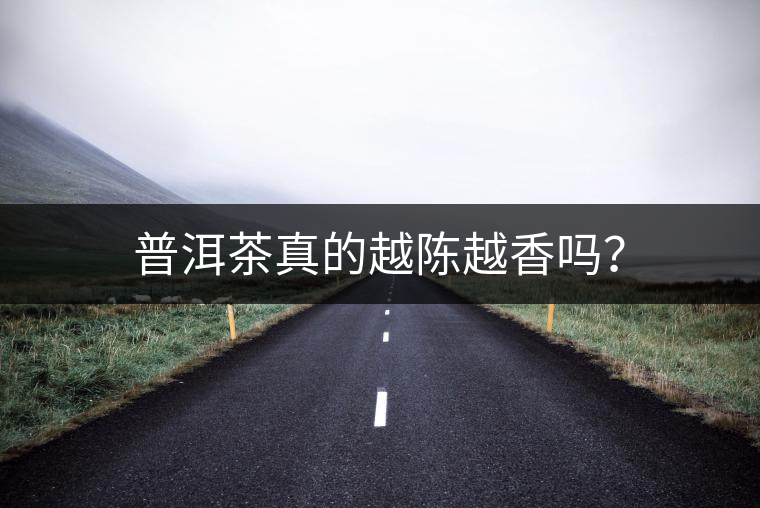 普洱茶真的越陳越香嗎？
