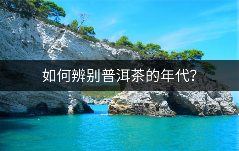 如何辨別普洱茶的年代？