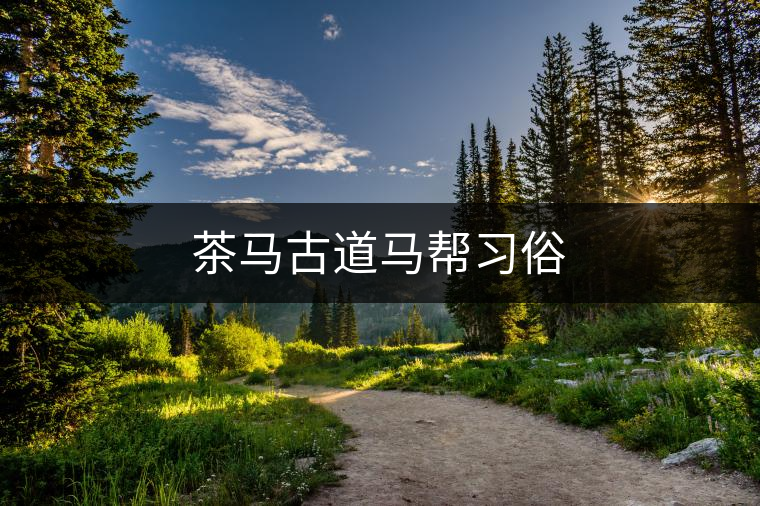 茶馬古道馬幫習(xí)俗