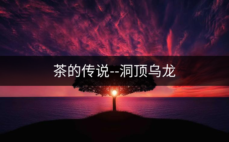 茶的傳說(shuō)--洞頂烏龍