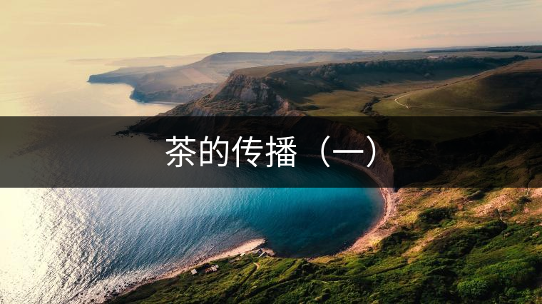 茶的傳播（一）
