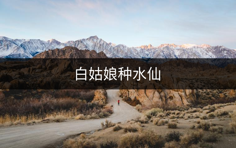 白姑娘種水仙