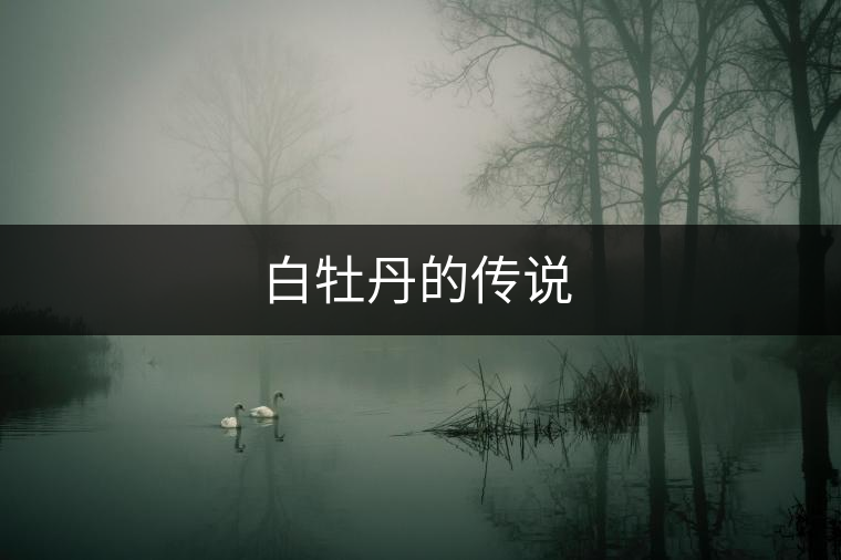 白牡丹的傳說 白牡丹的傳說