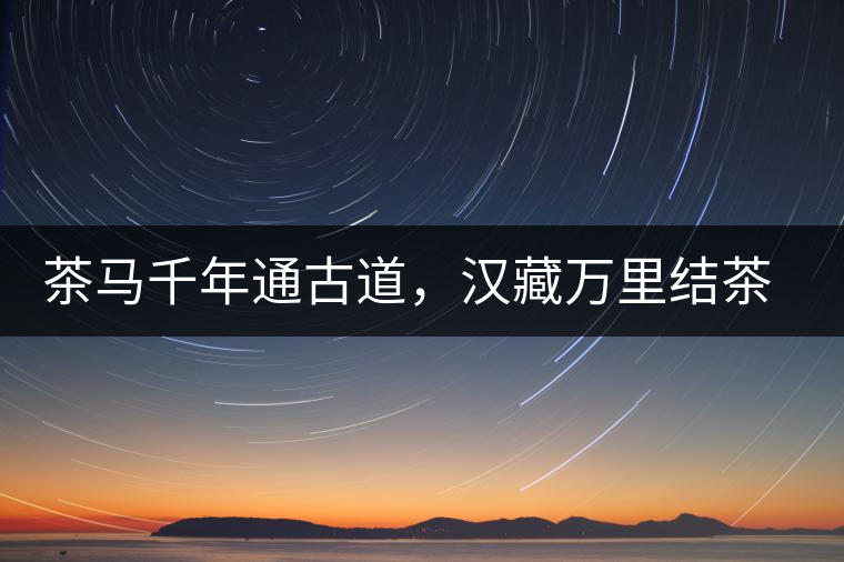 茶馬千年通古道，漢藏萬(wàn)里結(jié)茶緣