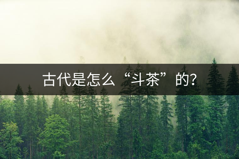 古代是怎么“斗茶”的？