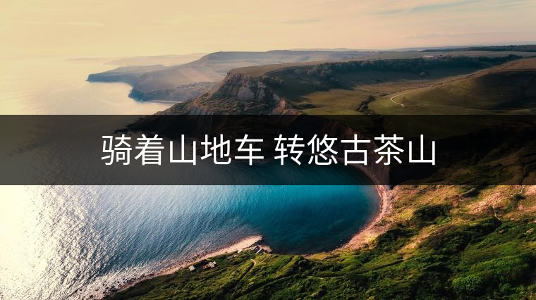 騎著山地車(chē) 轉(zhuǎn)悠古茶山 騎著山地車(chē) 轉(zhuǎn)悠古茶山