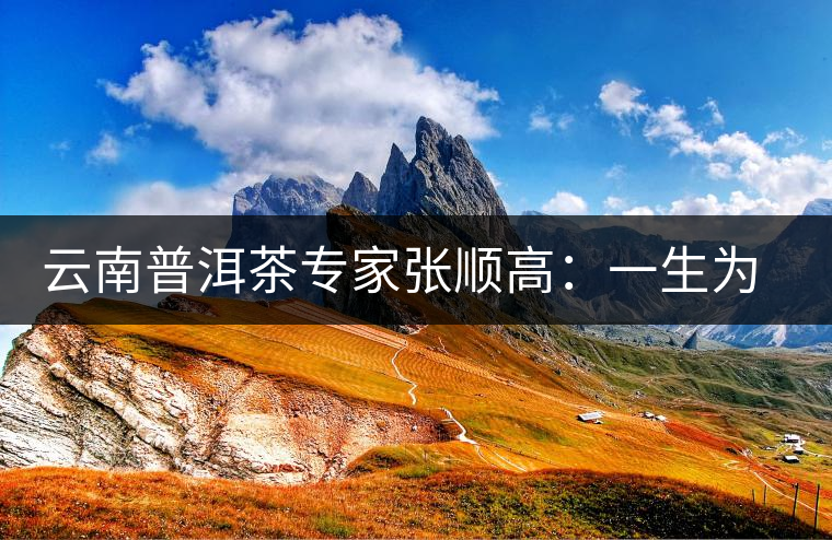 云南普洱茶專家張順高：一生為茶付出