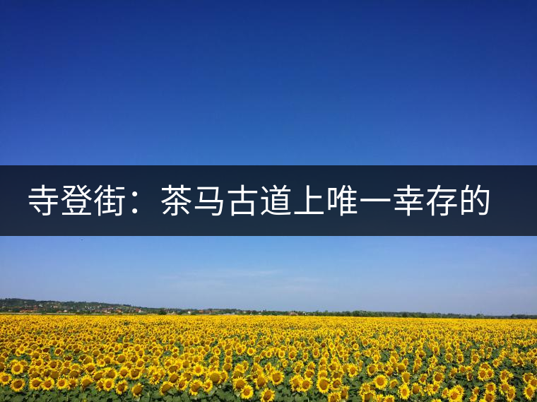 寺登街：茶馬古道上唯一幸存的古集市