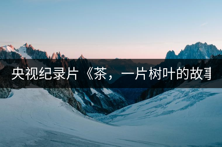 央視紀(jì)錄片《茶，一片樹(shù)葉的故事》紀(jì)錄片 昨晚開(kāi)播