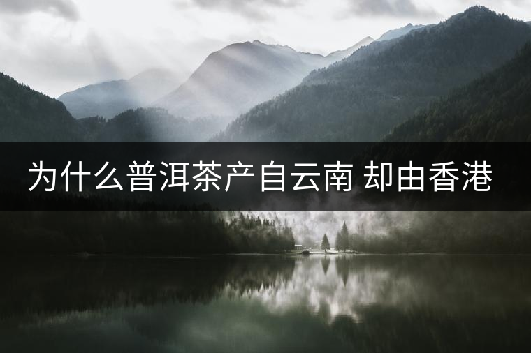 為什么普洱茶產(chǎn)自云南 卻由香港揚名世界