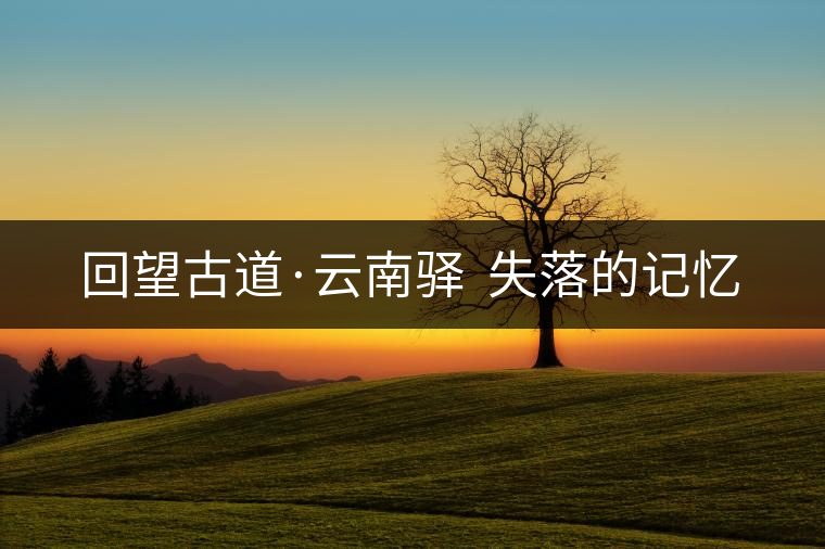 回望古道·云南驛 失落的記憶 回望古道·云南驛 失落的記憶
