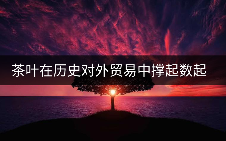茶葉在歷史對(duì)外貿(mào)易中撐起數(shù)起危局