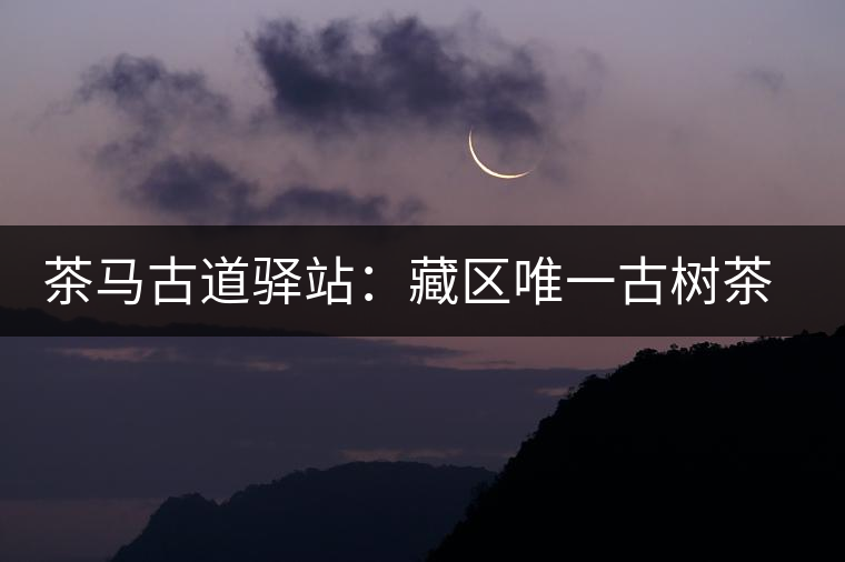 茶馬古道驛站：藏區(qū)唯一古樹(shù)茶產(chǎn)區(qū)