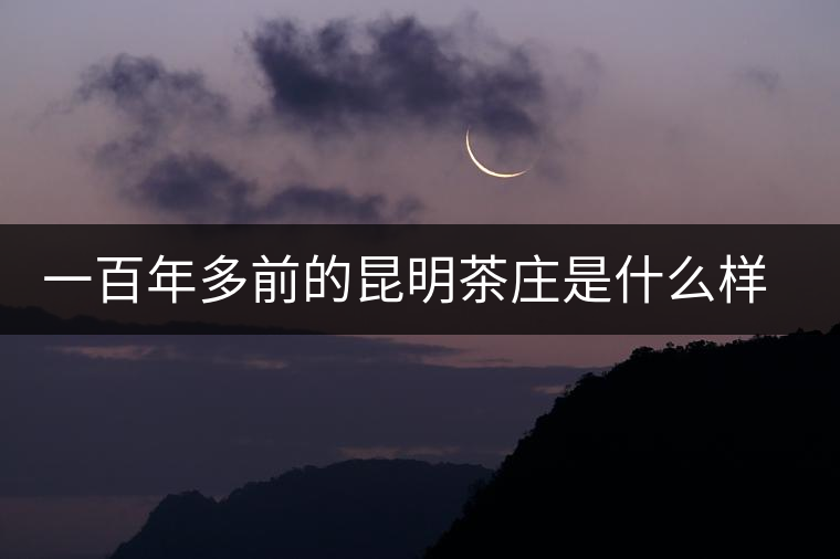 一百年多前的昆明茶莊是什么樣的