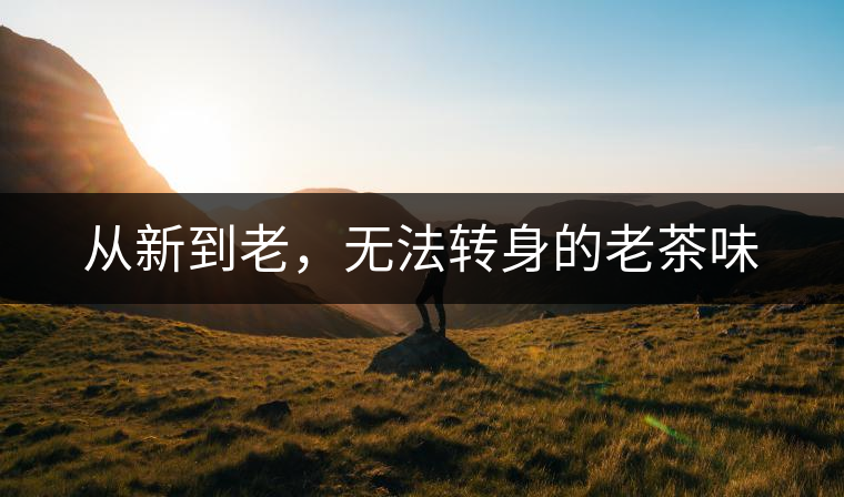 從新到老，無法轉(zhuǎn)身的老茶味