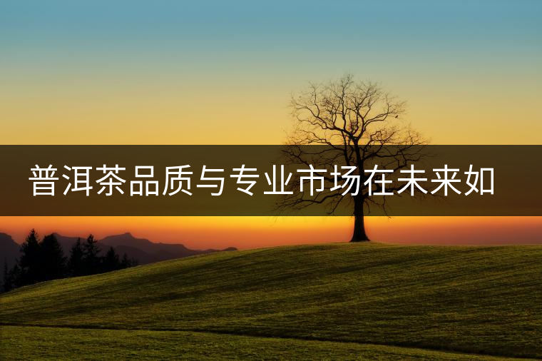 普洱茶品質(zhì)與專業(yè)市場在未來如此重要？