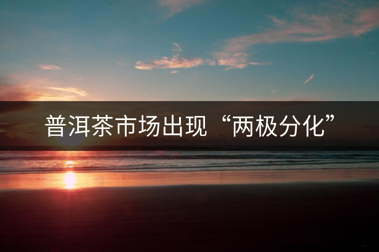 普洱茶市場出現(xiàn)“兩極分化”