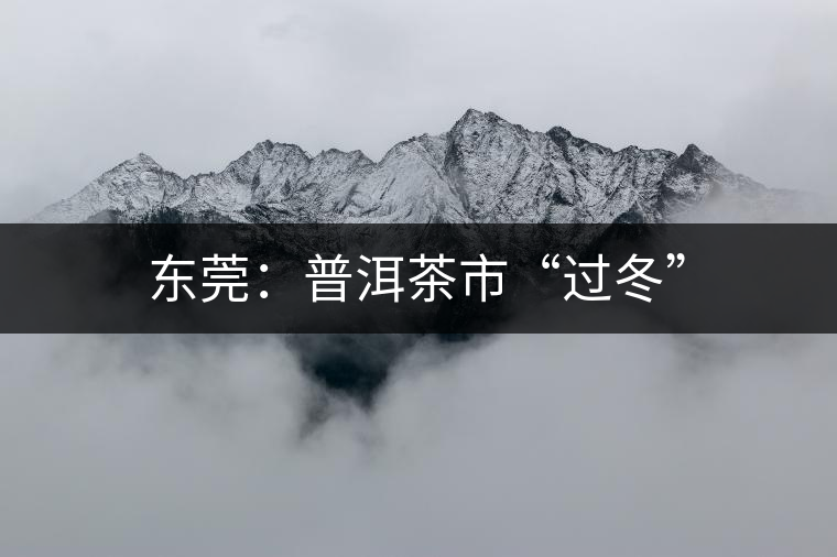 東莞：普洱茶市“過(guò)冬”