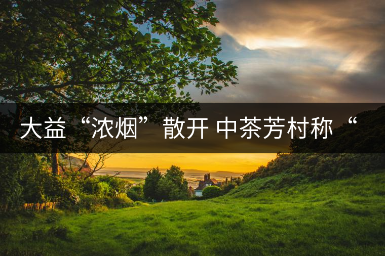 大益“濃煙”散開(kāi) 中茶芳村稱“王”？