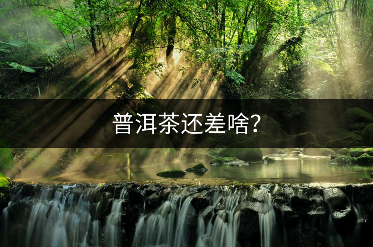 普洱茶還差啥？