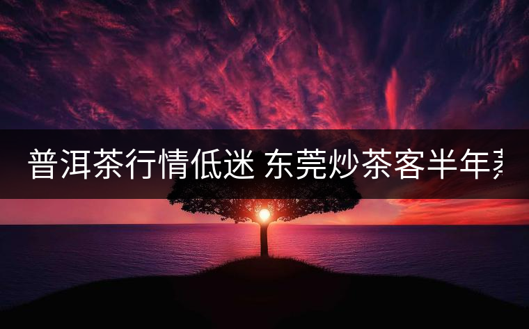 普洱茶行情低迷 東莞炒茶客半年蒸發(fā)370萬(wàn)元
