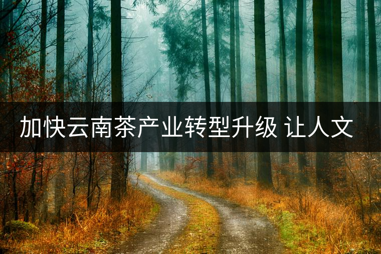 加快云南茶產(chǎn)業(yè)轉(zhuǎn)型升級(jí) 讓人文云茶健步遠(yuǎn)行