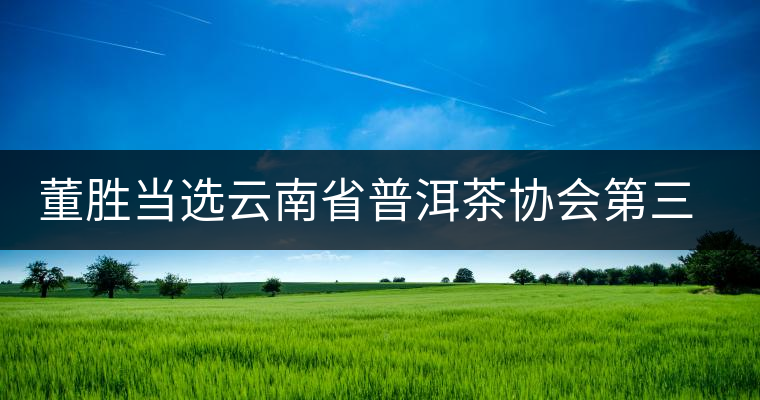 董勝當(dāng)選云南省普洱茶協(xié)會第三屆會長 董勝當(dāng)選云南省普洱茶協(xié)會第三屆會長