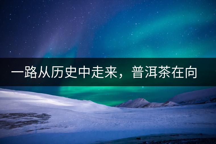 一路從歷史中走來，普洱茶在向我們訴說著什么？