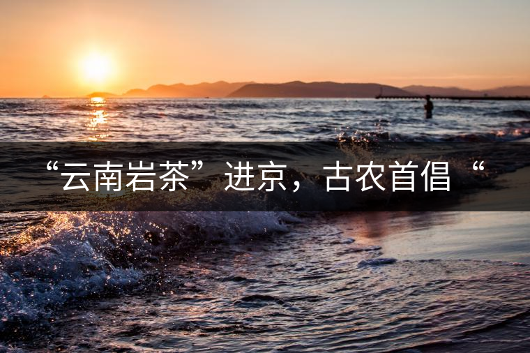 “云南巖茶”進京，古農(nóng)首倡“名茶+名企”戰(zhàn)略
