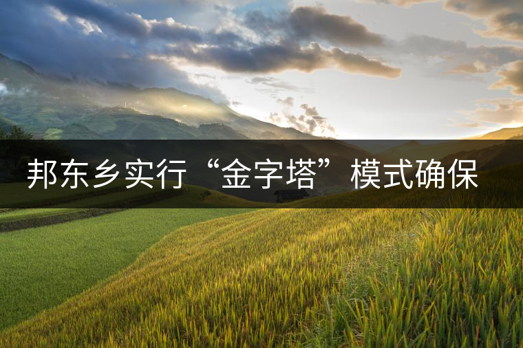 邦東鄉(xiāng)實行“金字塔”模式確保茶葉產(chǎn)業(yè)健康發(fā)展