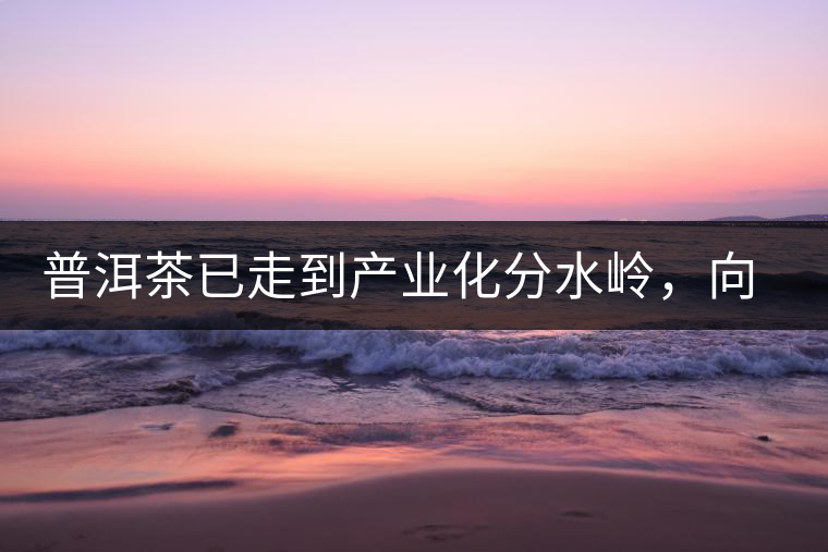普洱茶已走到產業(yè)化分水嶺，向左還是向右？