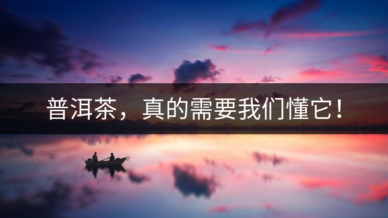 普洱茶，真的需要我們懂它！