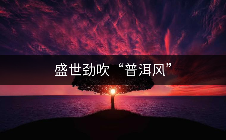 盛世勁吹“普洱風”