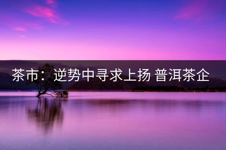 茶市：逆勢中尋求上揚(yáng) 普洱茶企靠什么打贏這場翻身仗？