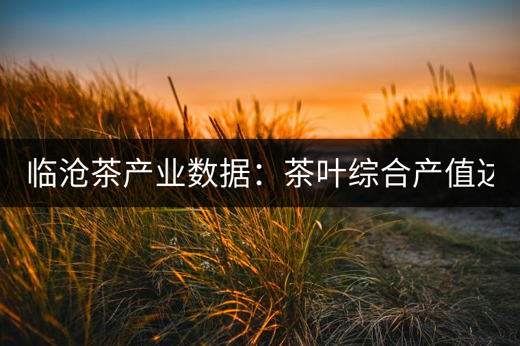 臨滄茶產(chǎn)業(yè)數(shù)據(jù)：茶葉綜合產(chǎn)值達(dá)80.03億元