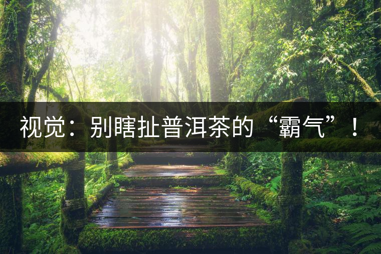 視覺：別瞎扯普洱茶的“霸氣”！偽大師！