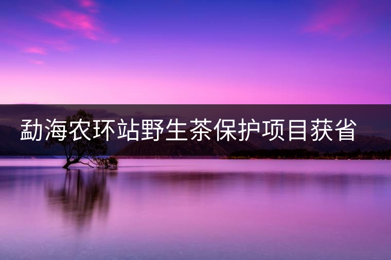 勐海農(nóng)環(huán)站野生茶保護(hù)項目獲省農(nóng)業(yè)技術(shù)推廣三等獎