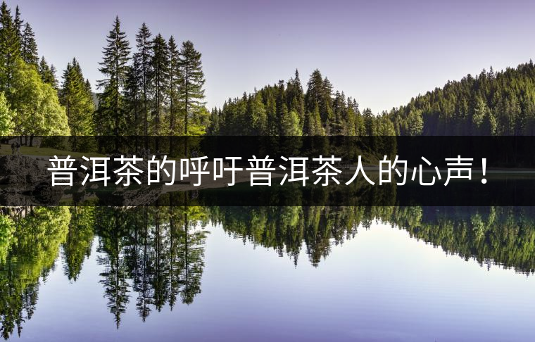 普洱茶的呼吁普洱茶人的心聲！