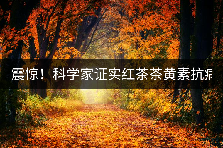 震驚！科學(xué)家證實(shí)紅茶茶黃素抗病毒新功能！
