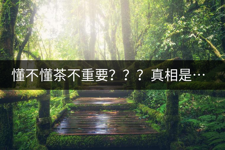 懂不懂茶不重要？？？真相是……