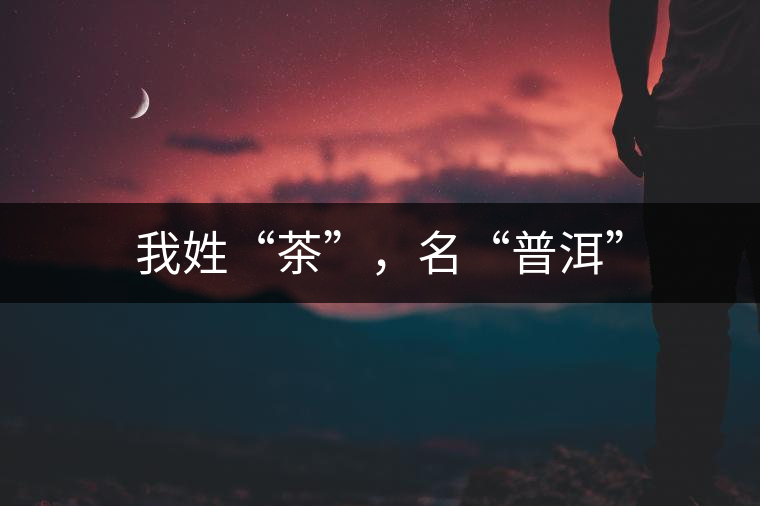 我姓“茶”，名“普洱”
