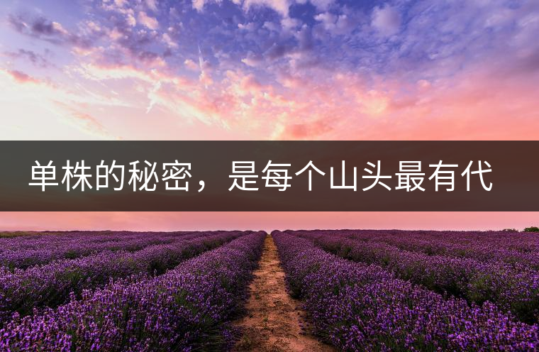 單株的秘密，是每個(gè)山頭最有代表性的味道？