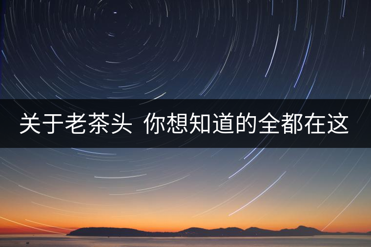 關于老茶頭  你想知道的全都在這兒啦！