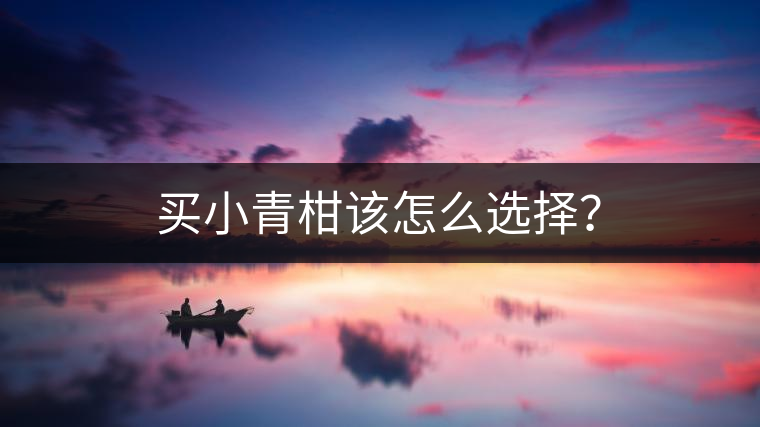 買小青柑該怎么選擇？
