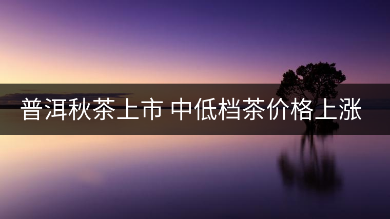 普洱秋茶上市 中低檔茶價格上漲成銷售主力