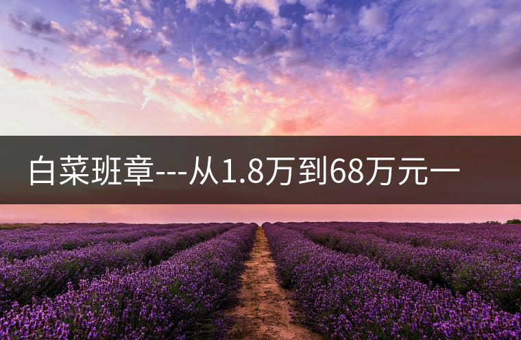 白菜班章---從1.8萬到68萬元一件的神話