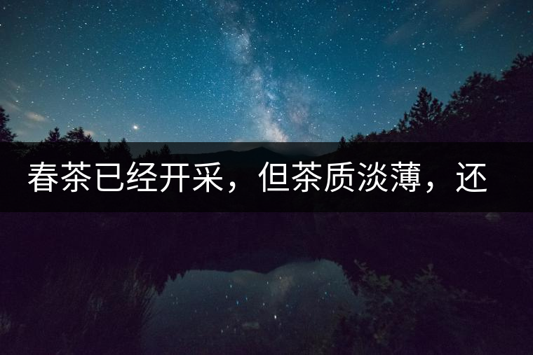 春茶已經(jīng)開(kāi)采，但茶質(zhì)淡薄，還需一兩周