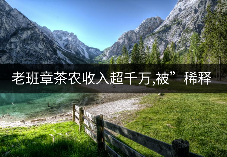 老班章茶農(nóng)收入超千萬,被”稀釋”的古樹純料