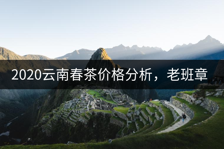 2020云南春茶價格分析，老班章依然將獨(dú)占鰲頭？