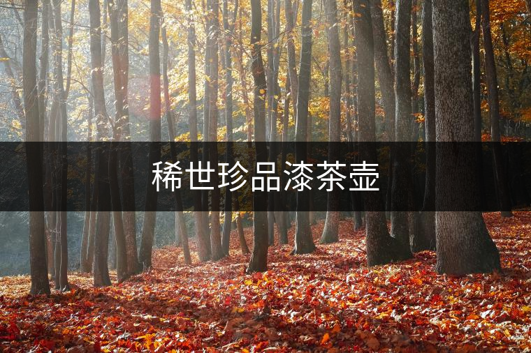稀世珍品漆茶壺 稀世珍品漆茶壺